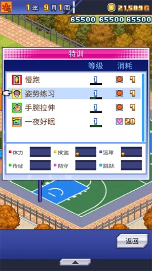 篮球训练法读后感怎么写_1